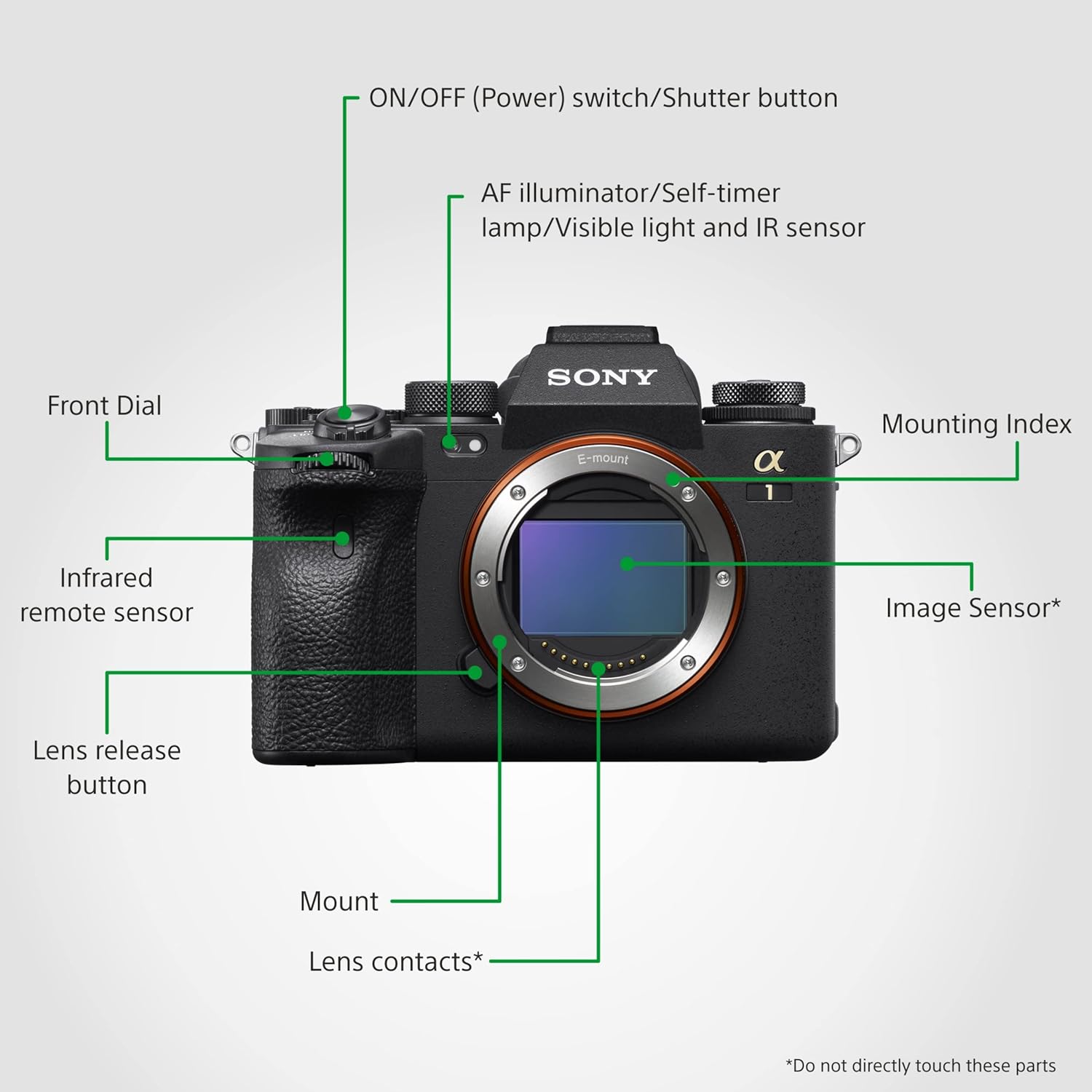 Sony ILCE-1/BQ IN5